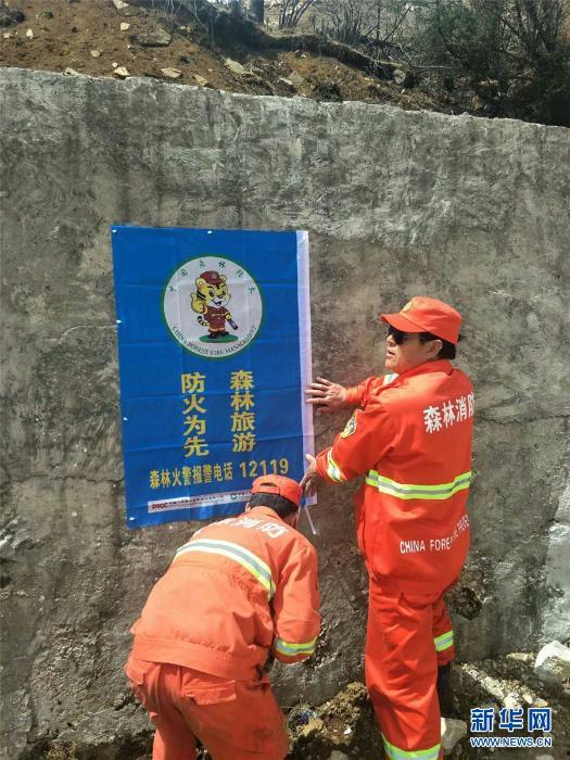 森林卫士宋亚洲,守护绿色家园的绿色传奇