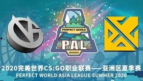 pal 亚洲电镀,Pal引领电镀技术革新之旅